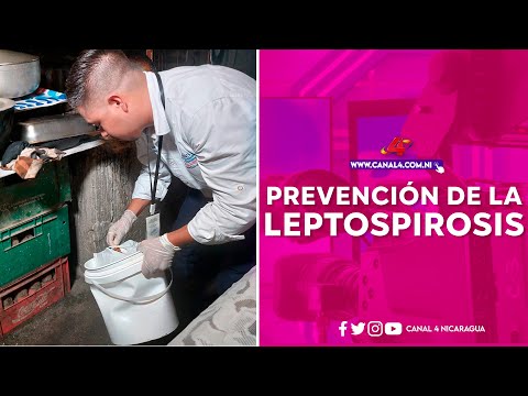 MINSA realiza primera jornada de prevención de la leptospirosis en Nicaragua