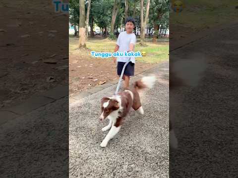 RAIDEN PANIK TAKUT DITINGGAL RYUKI DI TAMAN‼️🤣  #shorts #anjinglucu