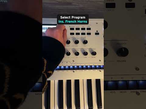 Basic Performance Sound Structure on KORG wavestate SE Part 1: Assigning Programs to Layers