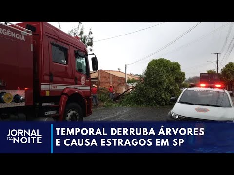 Temporal causa estragos e mortes em São Paulo