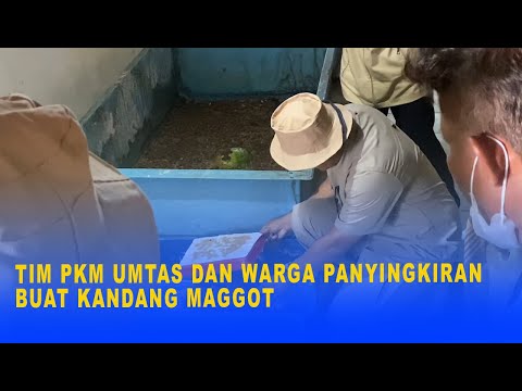 TIM PKM UMTAS DAN WARGA PANYINGKIRAN BUAT KANDANG MANGGOT