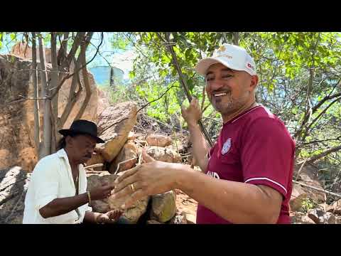 TÕE AGORA FOI COMER OS BOIS DE CHARLLES NO PIAUÍ | COMÉDIA SELVAGEM