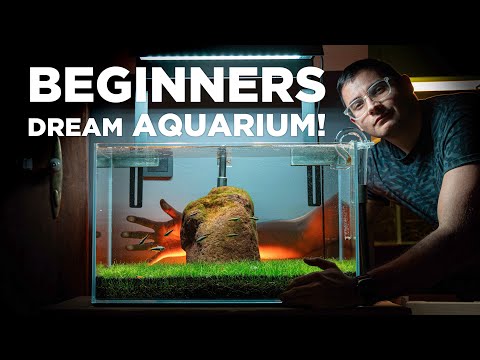 BEGINNERS dream AQUARIUM! Watch how I built it in  I thought I'd build a very simple aquarium, really not complicating anything. Ideal for beginners, m
