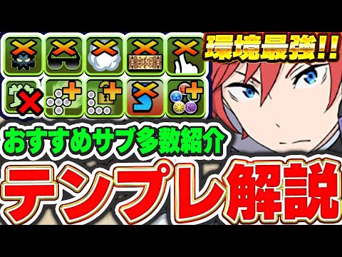 【環境最強】これ見てテンプレ編成を組もう！！ラインハルトの汎用テンプレ解説＆おすすめサブ紹介！！【パズドラ実況】＃パズドラ ＃リゼロ
