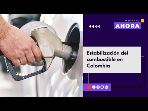 Estabilización del combustible en Colombia | AHORA | 13/03/24