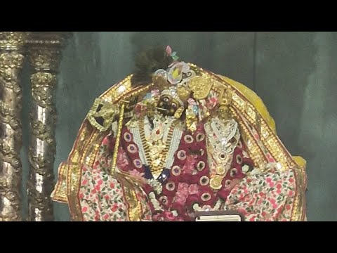 "Barsana ki pavitra dharti par, Ladliji Maharaj ki bhakti ka anubhav."🙏🏻#BarsanaLadlijiMaharaj