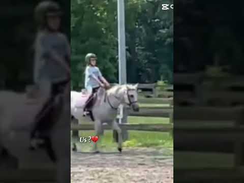Us🥹💔 #equestrianjourney #horse #blowthisaccountup
