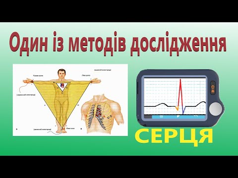 Електрокардіографія. Фізіологія