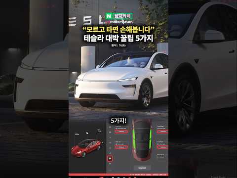 <strong>모르면</strong> 손해라는 테슬라 대박 꿀팁 5가지!