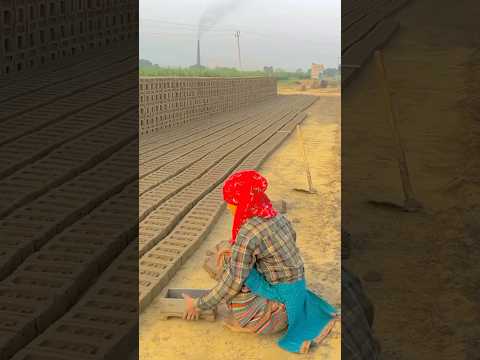 #dance #indiansong #song #hindisong #shortvideo #viral #love #explore #oldhigold #jhankarhits