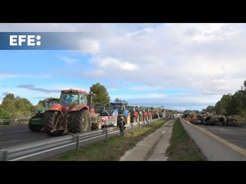 Los agricultores, en las carreteras tras tres semanas de protestas