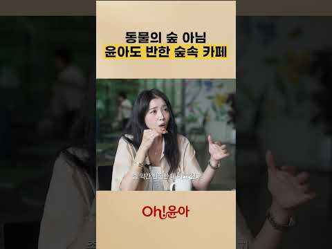 동물의 숲 아님 윤아도 반한 <strong>숲속</strong> 카페