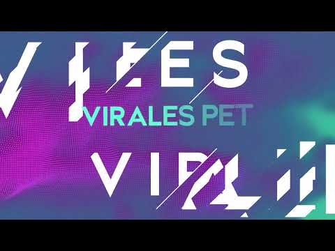 LOS MAS ADORABLES: VIRALES PET