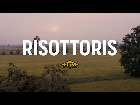 Risottoris