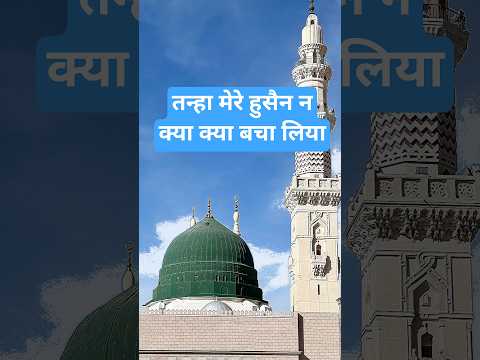तन्हा मेरे हुसैन ने क्या क्या बचा लिया#islamicmusic#newnaath#shortsvideo#naat#shorts#islamic#urdu