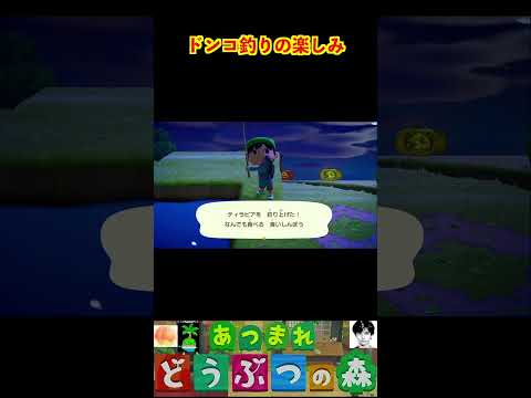 ドンコ釣りの楽しみ #あつまれどうぶつの森 #shorts #あつ森