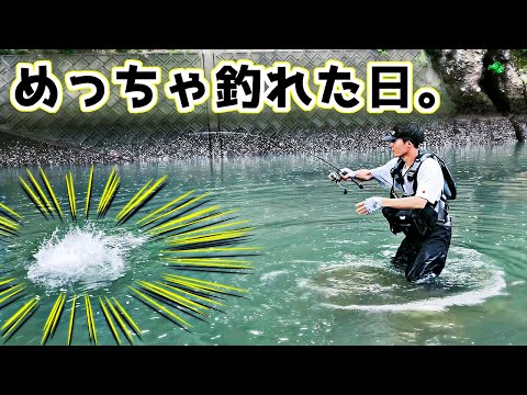 【これは楽しすぎる】いろんな魚がめっちゃ釣れた日。