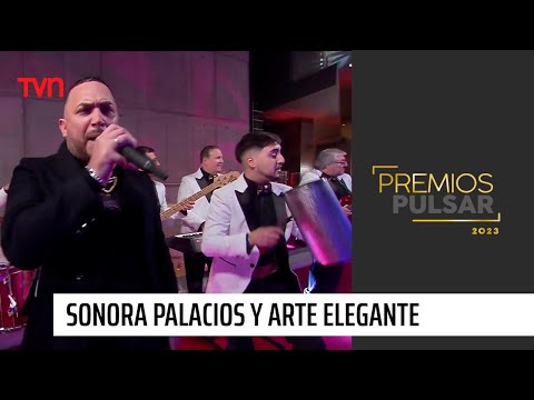 Sonora Palacios y Arte Elegante abren la alfombra roja | Premios Pulsar 2023