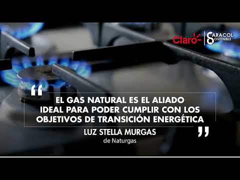 Gas natural sería clave para transición energética en el país:  Luz Stella Murgas Maya de Naturgas