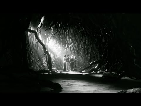 ボディメンテ　CM｜「THE DAY. 花と根」篇　30秒