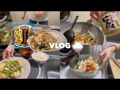 一口コンロで自分に作る夕飯vlog🌛［激狭キッチン］