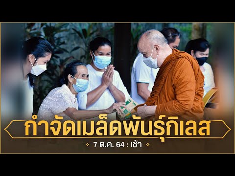 กำจัดเมล็ดพันธุ์กิเลส-:-7-ต.ค. กำจัดเมล็ดพันธุ์กิเลส-:-7-ต.ค.