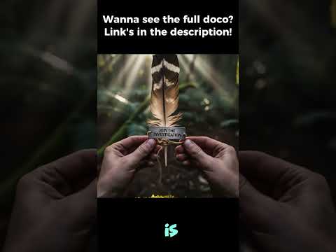 Inside the Lyrebird’s Mind: The Science Behind Its Mind-Blowing Mimicry Skills!