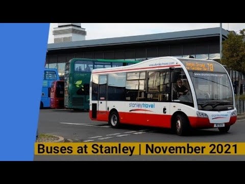 Buses at Stanley | November 2021