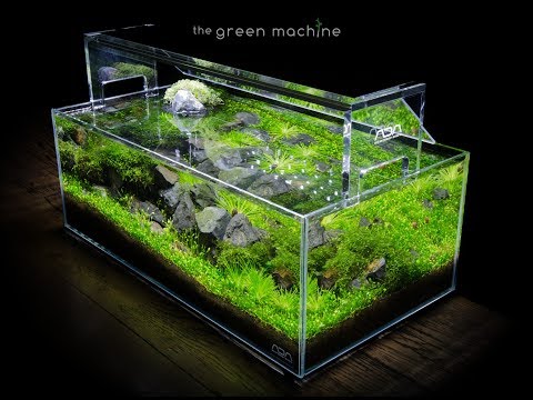 Nano Aquascape Timelapse - Scree by James Findley  The Art of Aquascaping Book now is available to download- https_//www.thegreenmachineonline.com/aqua