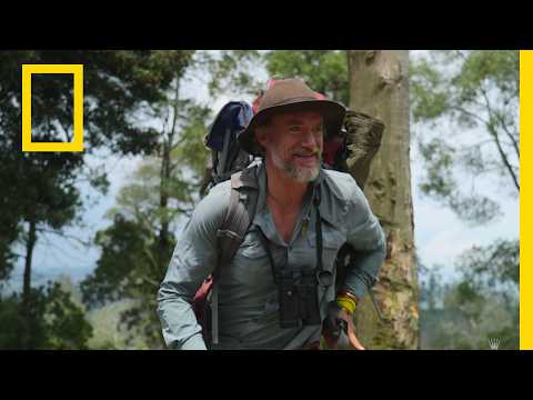 Steve Boyes’s Journey | Africa Earth’s Wild Home | National Geographic