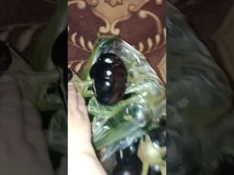 ٢٤ سبتمبر ٢٠٢٥