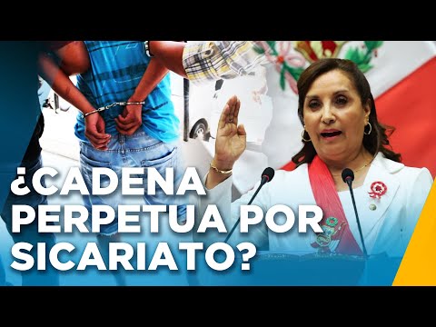 El proyecto de terrorismo urbano del Gobierno: ¿Cuáles son sus propuestas y los cambios que plantea?