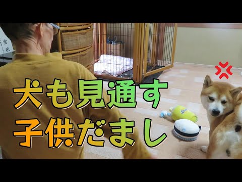 オモチャを使っての子供だましは犬にも通用しないということ