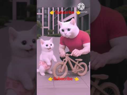 Dad Cat Builds Epic Smoke Bike After Kitten Gets Teased! 🚴‍♂️💨😿🔥