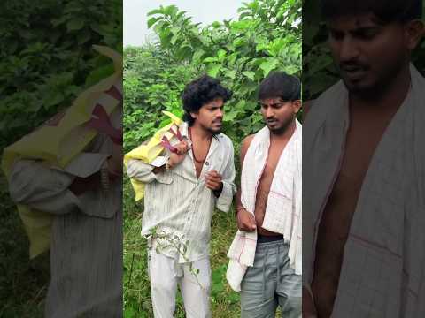 जीजा जी चोर हवे 🤣 दम है तो हंसी रोककर दिखाओ | new comedy videos #ytshorts #comedy