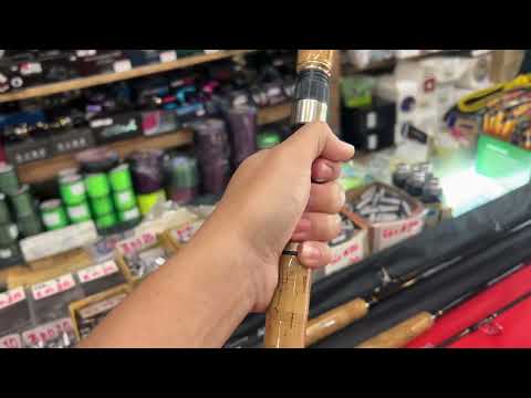 คันอิเล็กต้าเมเจอร์แคสเตอร์