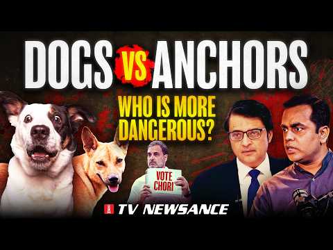 A Week of ‘Dog Terrorism’ &amp; the Crumbling Fourth Pillar | TV Newsance 310