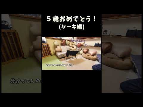 ５歳おめでとうケーキ