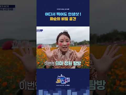 어디서 찍어도 인생샷 화순의 비밀 공간?! #화순군 #고인돌축제 #가을꽃축제