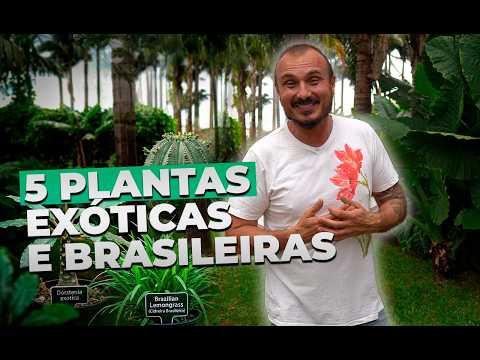 5 Plantas Exóticas e Brasileiras Que Você Precisa Conhecer
