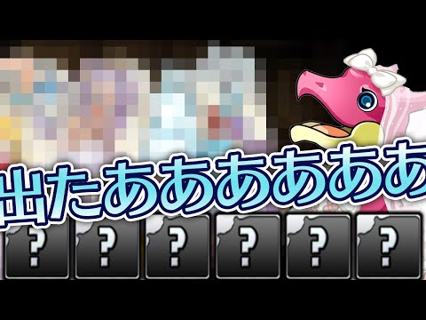 ジューンブライドガチャ5回引いて出たキャラで編成を組んだ結果…！【パズドラ】
