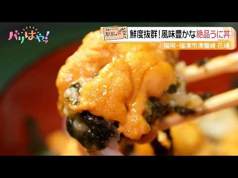 【岡澤アキラの駅前食堂】鮮度抜群！風味豊かな絶品うに丼「四季の味処 花靖」 | JR 福間 駅（2026/9/30）