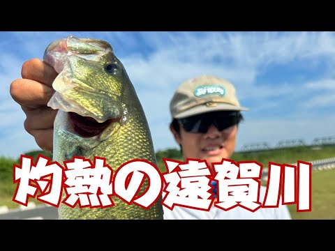 灼熱の遠賀川！ムサシシュリンプで入賞！ロッドマンおかっぱり大会第5戦！