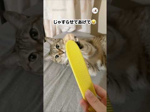友達からの素敵な贈り物を上手に活用する方法 サムネイル