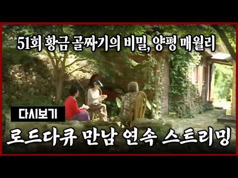[다시보기] OBS 다시 보는 로드다큐 만남 51회 황금 골짜기의 비밀, <strong>양평</strong> 매월리 (풀영상)