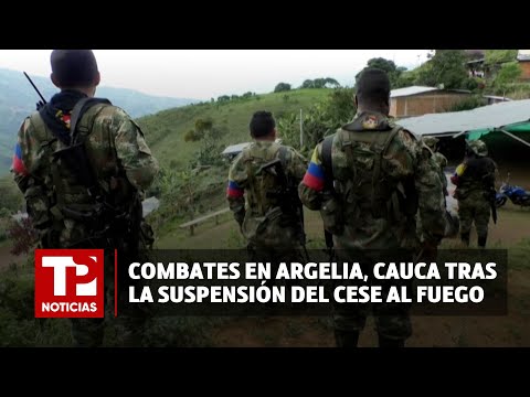 Combates en Argelia, Cauca tras la suspensión del cese al fuego I23.03.2024I TP