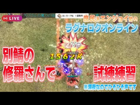 深夜なのでひっそりと。別鯖の修羅さんもすごい狩りはできません【RO】【ラグナロクオンライン】