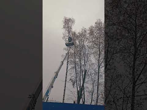 Каким был #октябрь в Москве? #2025 #осень #осень2025 #атмосфера #эстетика #вайб #Москва