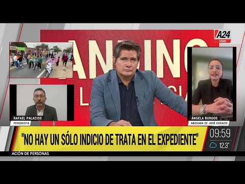 LOAN: LAS CONTROVERSIALES DECLARACIONES DE LA ABOGADA DE JOSÉ CODAZZI