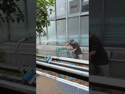 How many solar panels do you have? How many times do you clean them each month?